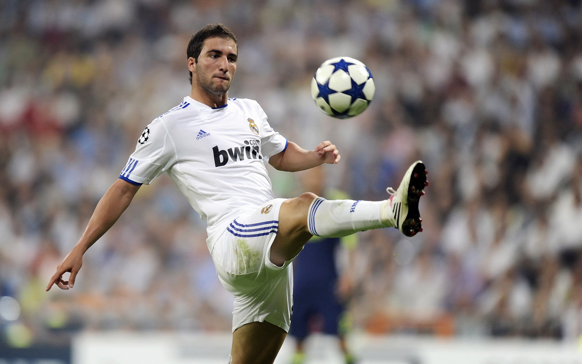 开云备用-史上最不可思议的“黑马团队”逆袭记，黑马诞生 完美逆袭